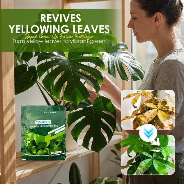 Rapid Green-Up Foliar Fertilizer 50gm Each (Pack of 1)